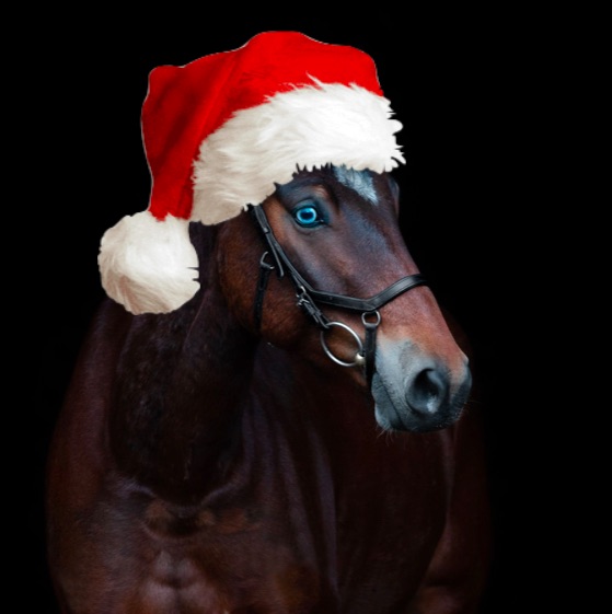 Foto Nemo mit Mutze.jpg